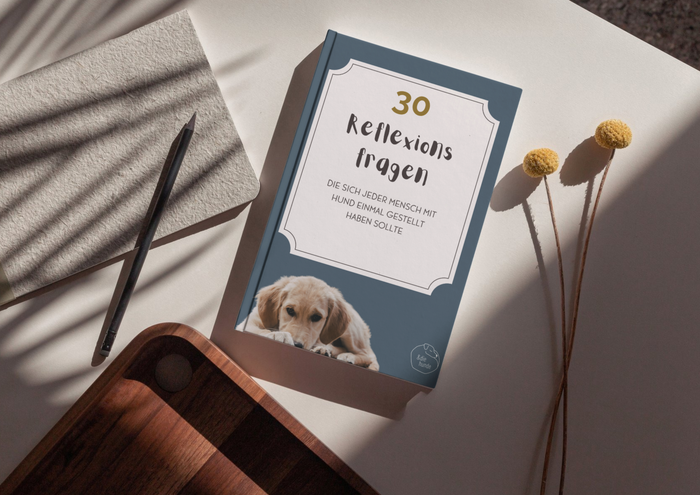 30 Reflexionsfragen, die sich jeder Mensch mit Hund einmal gestellt haben sollte