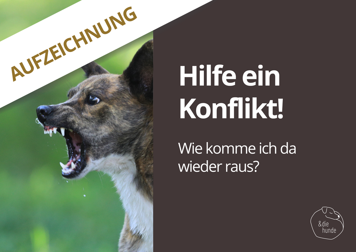 Webinaraufzeichnung – HILFE EIN KONFLIKT! Wie komme ich da wieder raus?