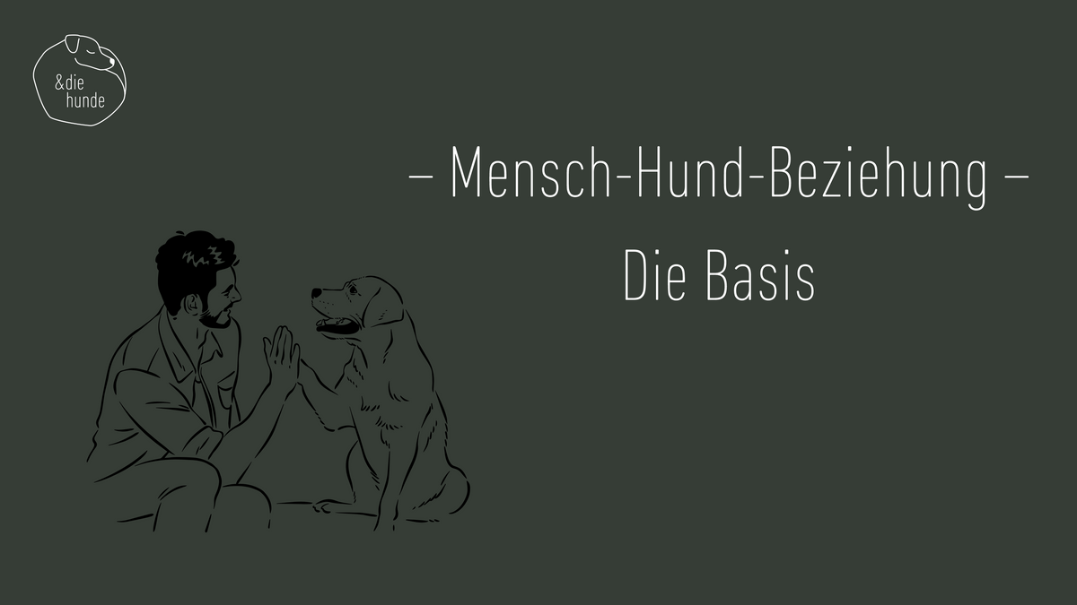 Mensch-Hund-Beziehung – Die Basis (10min)