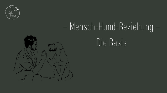 Mensch-Hund-Beziehung – Die Basis (10min)