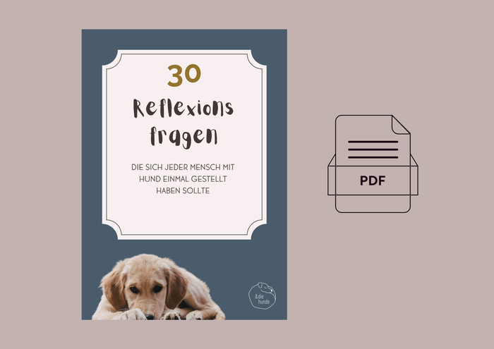30 Reflexionsfragen, die sich jeder Mensch mit Hund einmal gestellt haben sollte