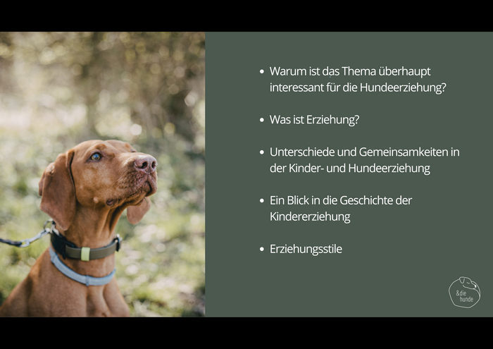 WEBINARAUFZEICHNUNG: „Wie bei Kindern…“ – Zwischen Vorbild und  Fehlgriff in der  Hundeerziehung