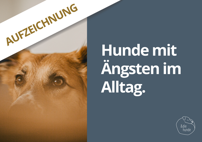 Doppel-Webinaraufzeichnung – HUNDE MIT ÄNGSTEN IM ALLTAG