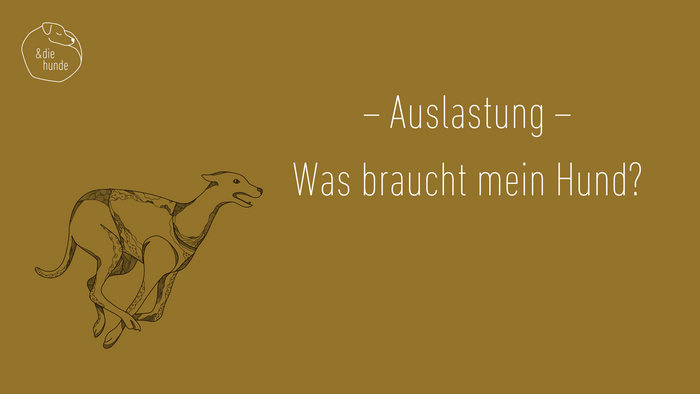 Auslastung – Was braucht mein Hund? (24min)