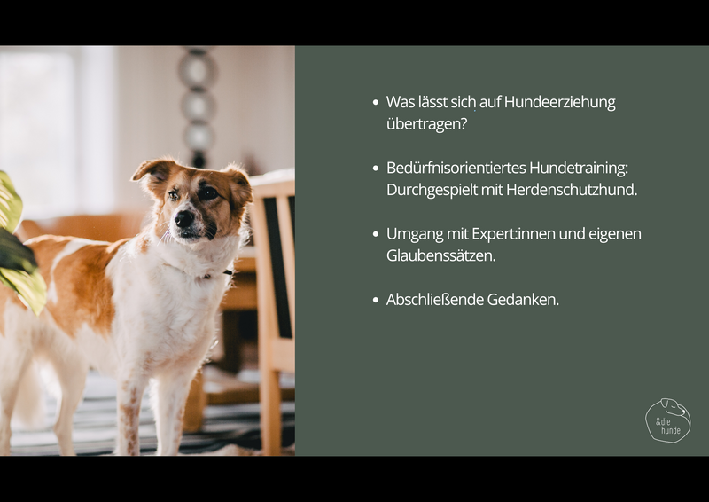 WEBINARAUFZEICHNUNG: „Wie bei Kindern…“ – Zwischen Vorbild und  Fehlgriff in der  Hundeerziehung