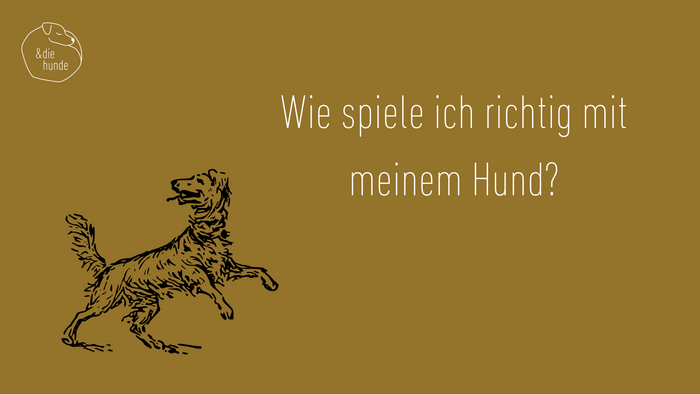 Wie spiele ich richtig mit meinem Hund? (23 Minuten)