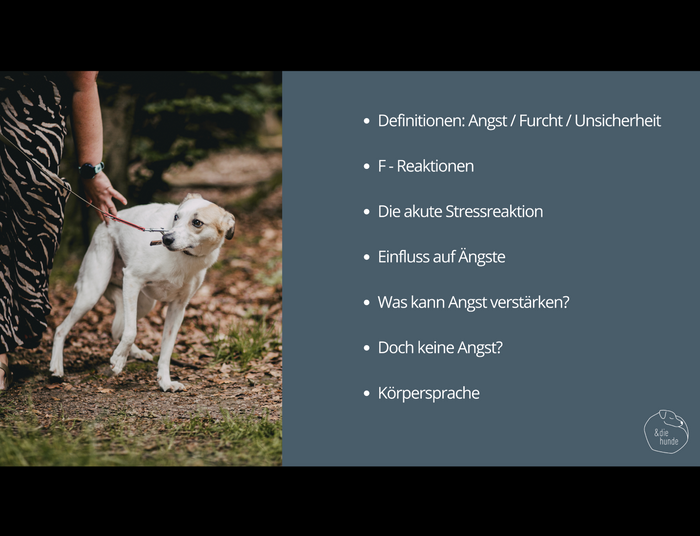 Doppel-Webinaraufzeichnung – HUNDE MIT ÄNGSTEN IM ALLTAG