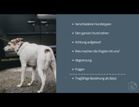 Doppel-Webinaraufzeichnung – HUNDE MIT ÄNGSTEN IM ALLTAG