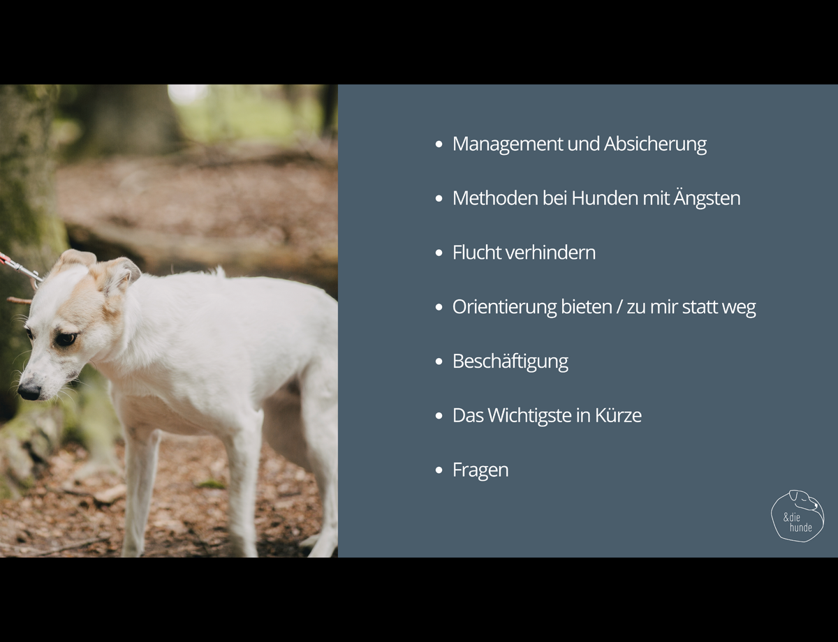 Doppel-Webinaraufzeichnung – HUNDE MIT ÄNGSTEN IM ALLTAG