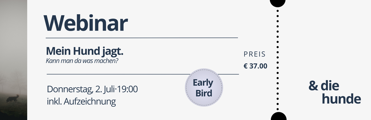Webinar – Mein Hund jagt, kann man da was machen? (Early Bird Ticket)