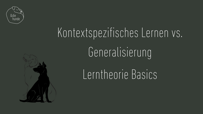 Kontextspezifisches Lernen vs. Generalisierung- Lerntheorie Basics