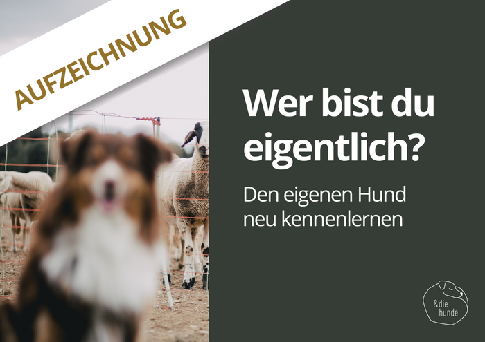 WEBINARAUFZEICHNUNG – Wer bist du eigentlich? – Den eigenen Hund neu kennenlernen